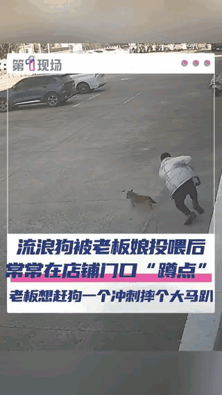 江苏盐城的一个流浪狗很可怜，天天在街上游荡，这家店老板娘每天都会给他喂食。有一天