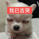 虞书欣都瘦出脚脖子了可以出个教程吗，没脚脖子星人真的狠狠羡慕了。。。 