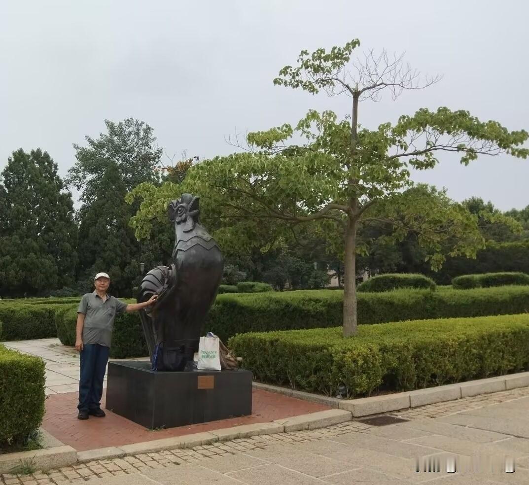 雄鸡破晓，唤醒民众，唤醒山河！

雄鸡破晓，炊烟起，麦浪滚，又是一个丰收年！
