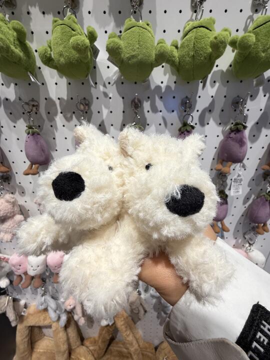 大连宝藏小店，好可爱啊啊啊啊啊啊！！！
