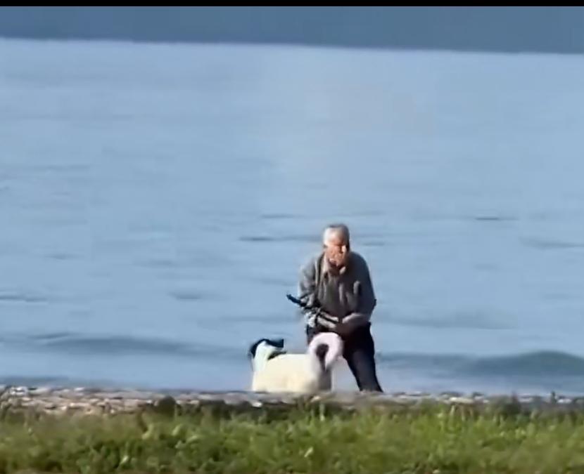 全球吵翻！外国女游客抢老人打狗棍，人命和狗权该咋选？
 
阿尔巴尼亚这事儿太离谱