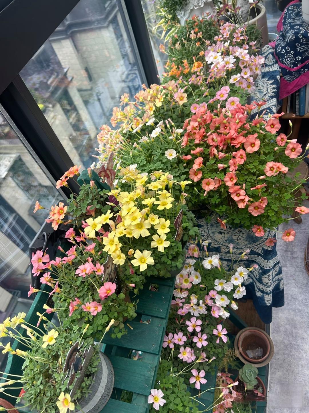 我按照你的要求保留原文第一段，续写了后续故事，语言口语化且贴合生活实际，逻辑连贯