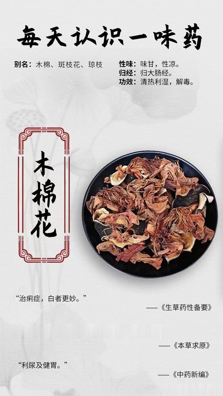 #国医的精诚力量##每天一味中草药##论道岐黄# 【每天认识一味药】[鲜花]木棉