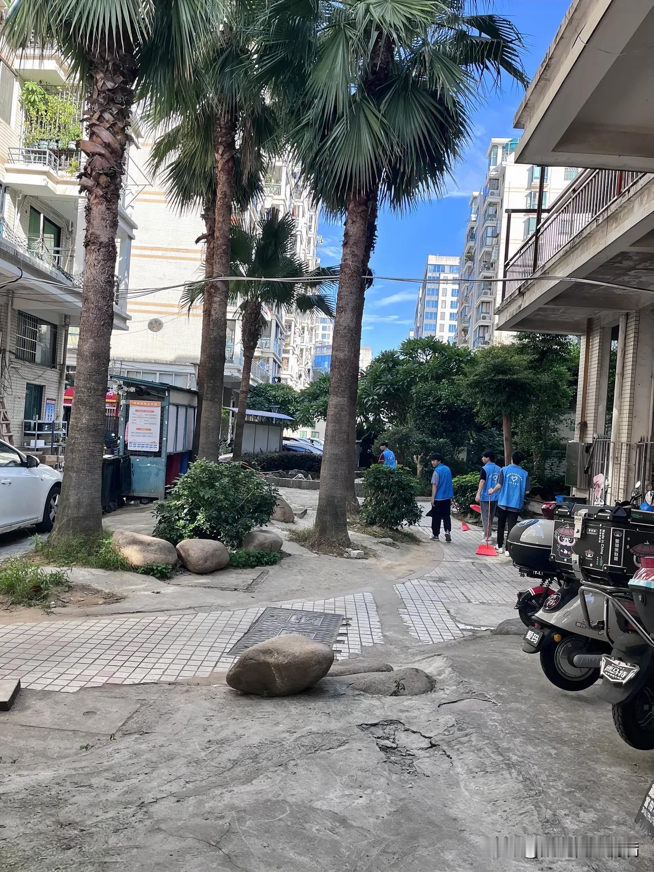 今天在同学的小区看到福建交通学院的学生们在小区做青年志愿者。
会想起自己在学校的