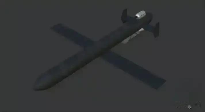 突发！俄军"天竺葵-5"无人机首秀俄乌战场
 
2026年1月11日，俄军夜间空