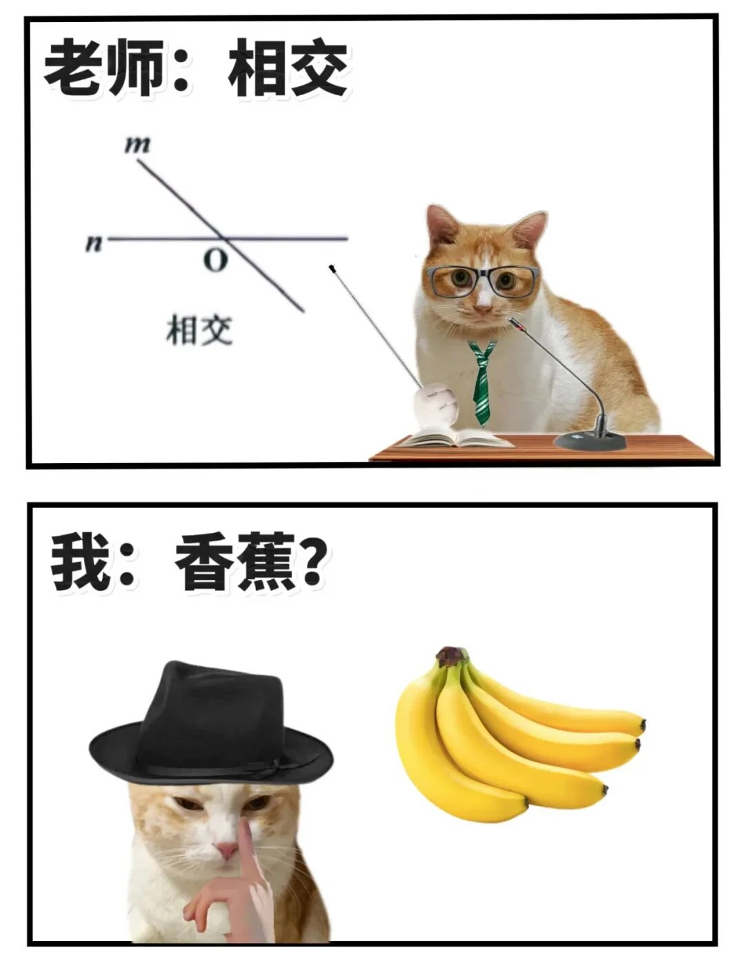 来，看，数学老师在讲什么，笑死我了哈哈哈哈