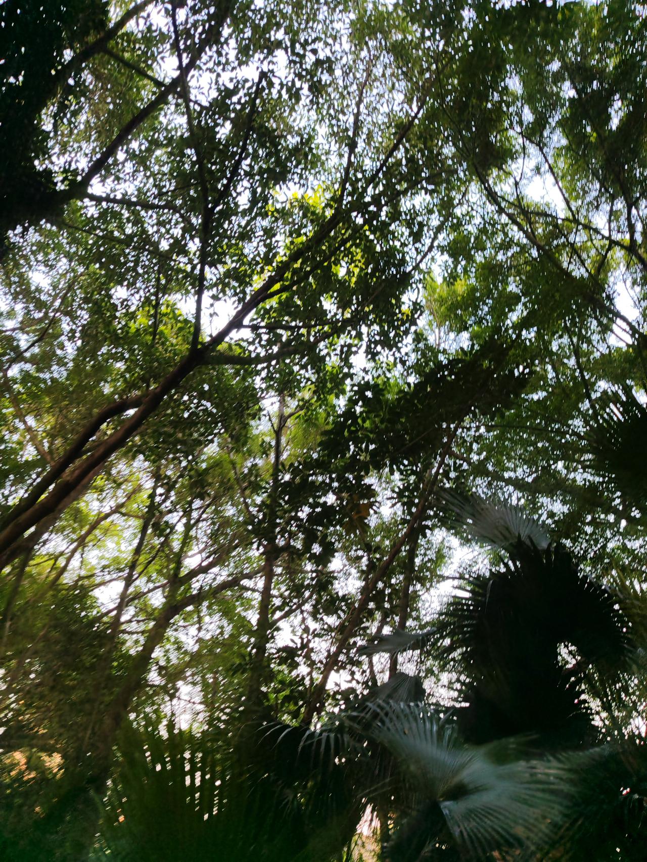 判断A股是否处于底部区域，门道可不少。就像2026年7月16日，A股大跌，很多散