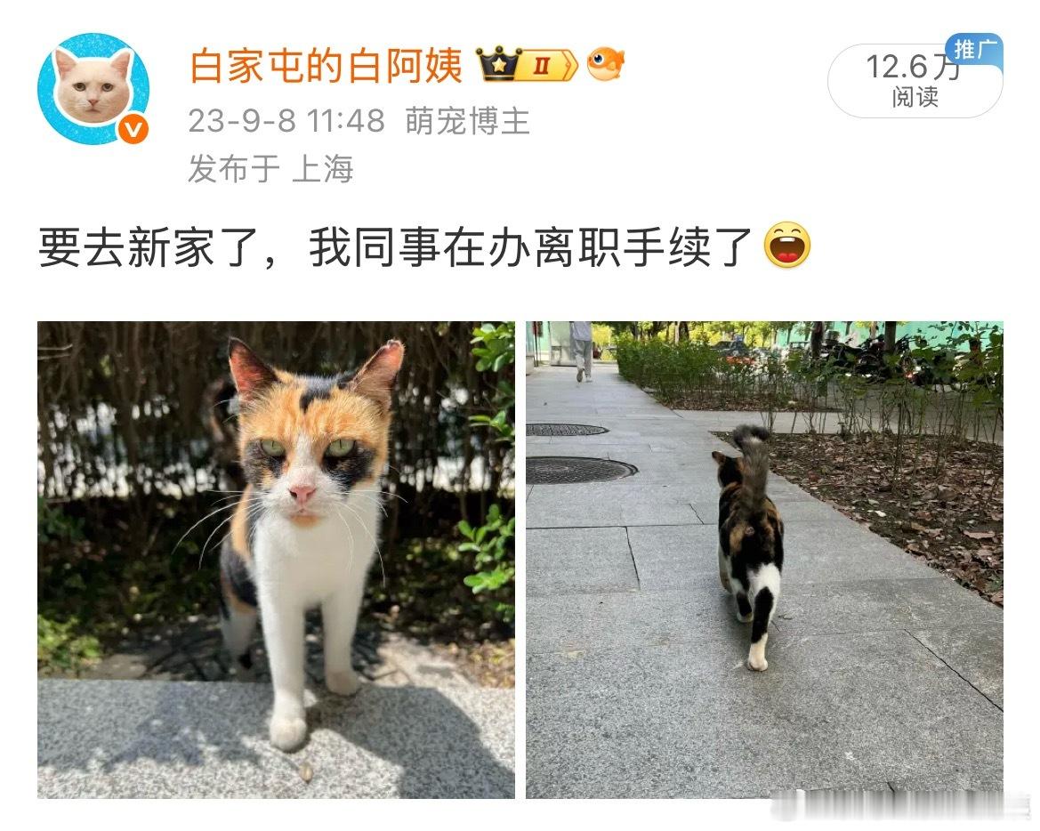 我前同事她妈（什么乱七八糟的辈分…）开🫘🎵了！笑死，也是个奇人，养了三只，没