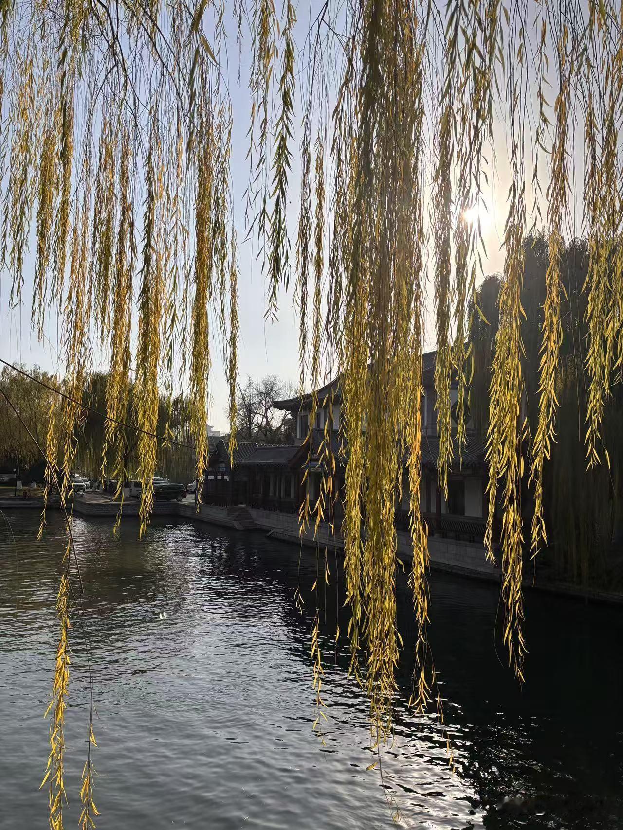 十岁半的娃了还不知道冷热，真是让人操心。
今天下班回家听老妈说娃放学回家满头大汗