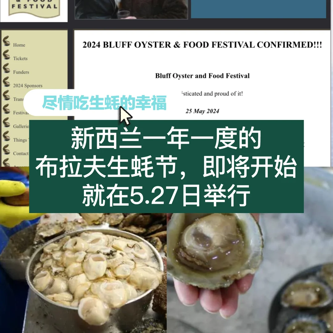 🇳🇿开启顶尖的美味 纽村布拉夫生蚝节来啦
