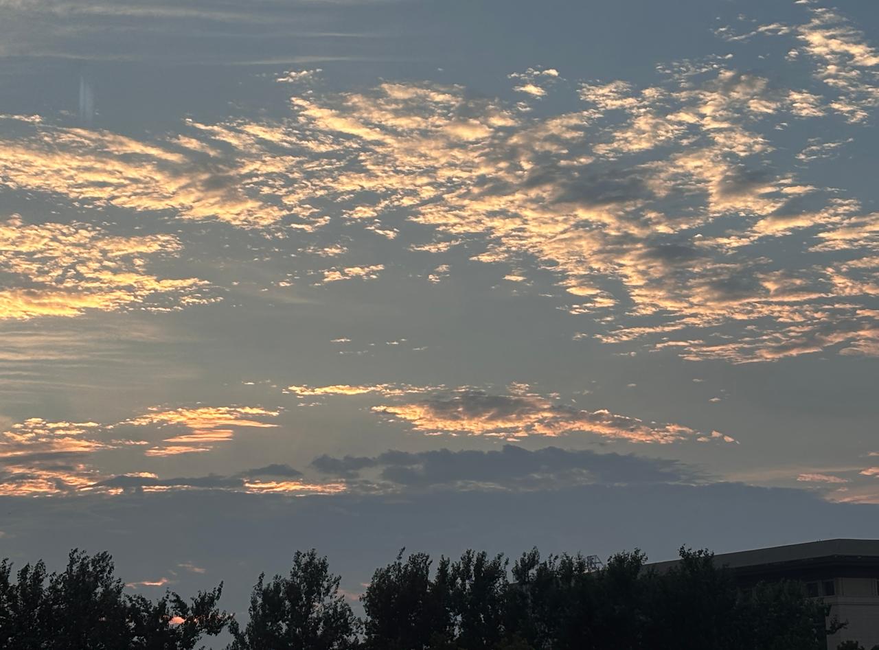 又拍到了漂亮的天空
对于牛马来讲
每天能看到漂亮的夕阳也是一种安慰

生活碎碎念