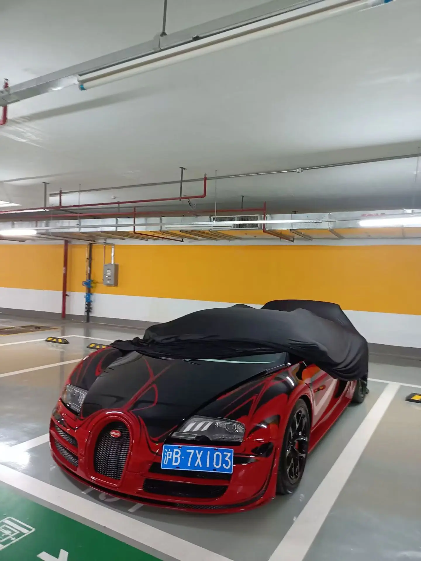 广州神秘车库 布加迪威龙 .分享一下