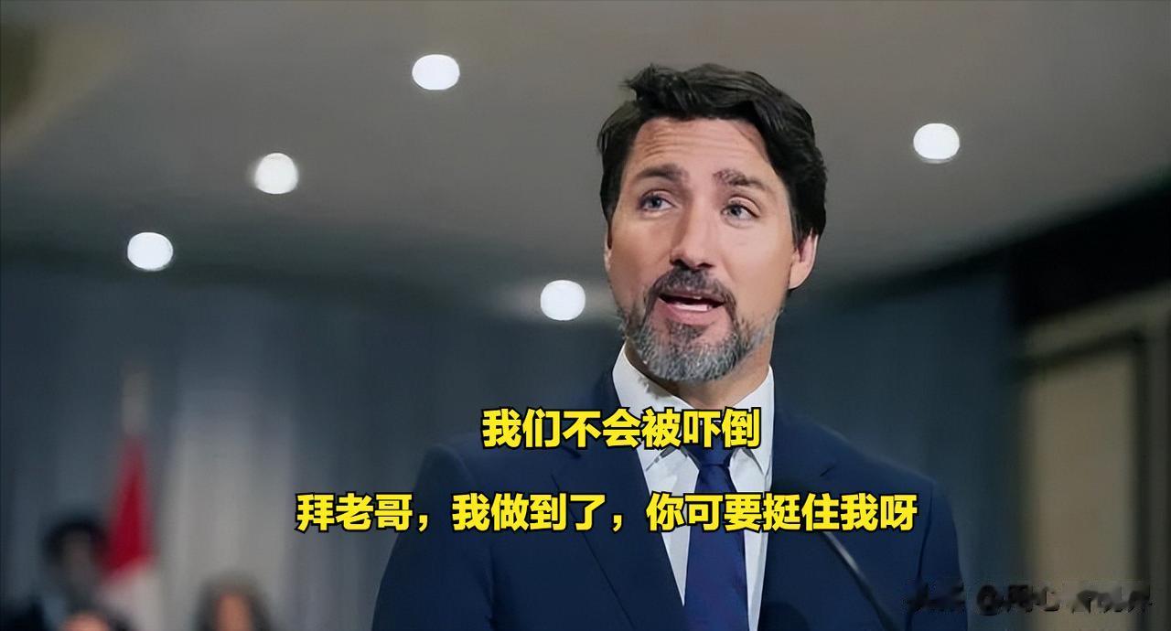 自身没有实力，还喜欢“挑衅”！加拿大无缘无故地驱逐中国外交人员，我们不得不采取反