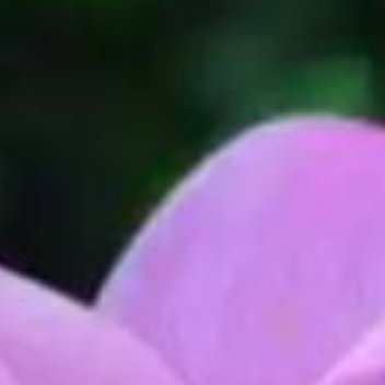 正能量[超话]正能量 一句话出口前，你是它的主人，出口之后，它是你的主人。钉子可