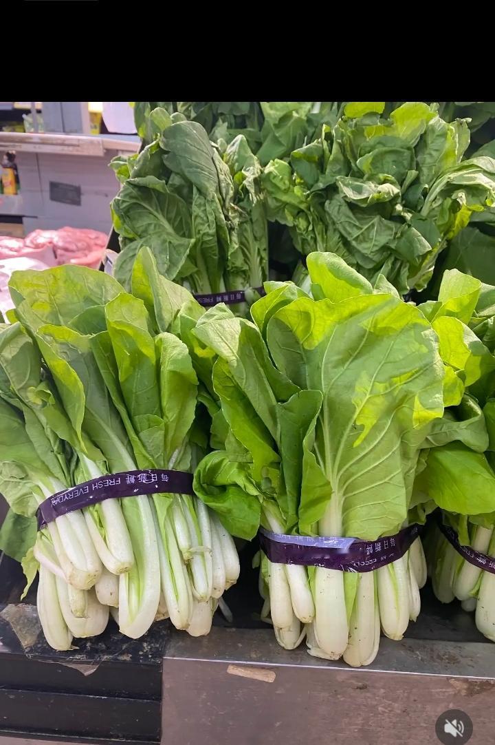 现在市场的小白菜都是农药喂出来的！

昨晚和一个学校食堂的老板吃饭，席间说到了现