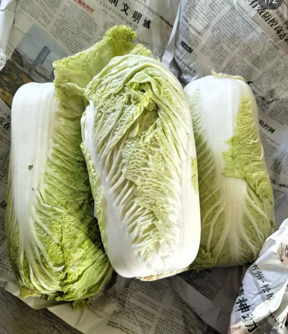 雪停后去超市买菜，
直接被菜价惊到！
猪肉跌到“地板价”，
五花才七块、排骨十