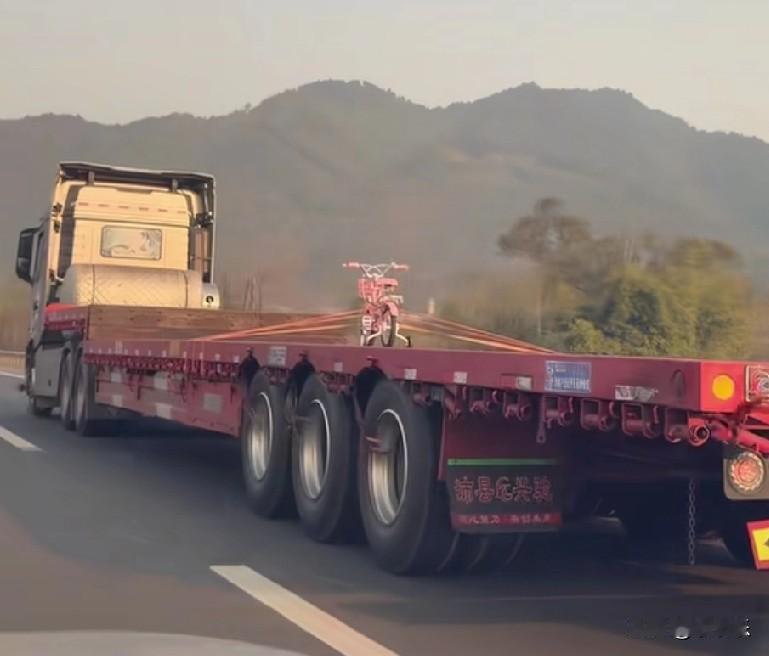 2月14日，重庆铜梁，一辆长长的货车上，载着一辆小小的粉色自行车，并且绑得很结实