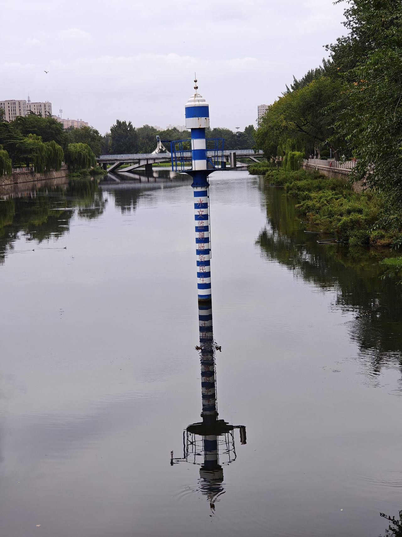 从前些天开始一直预报的大雨也并没有如期而至。
听说，这“白海豚”又绕道而行了，也
