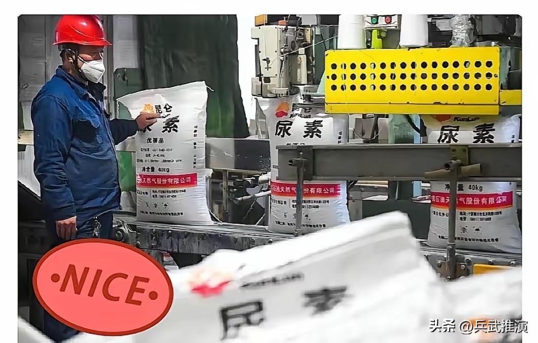 霍尔木兹海峡这事再拖下去，最先起飞的不是越南这些国家，而是咱们西北的宁夏、内蒙古