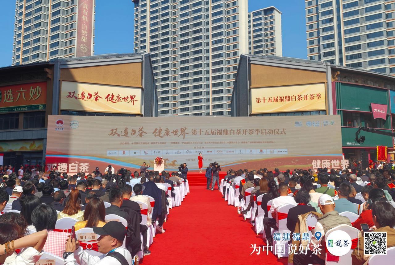 【每日茶事·说茶快讯】
3月18日，第十五届福鼎白茶开茶季启动仪式在福鼎举行。活