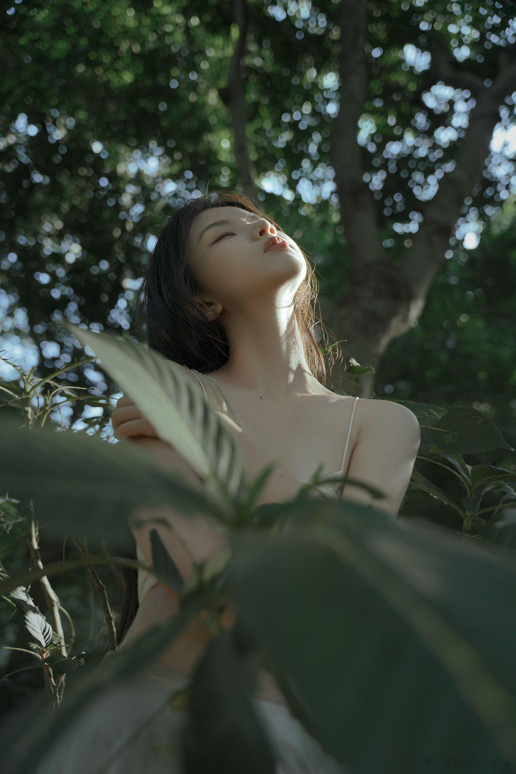 做自己的自由树- ​​​