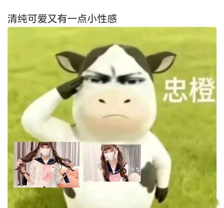 U：可爱清纯的双马尾小姐姐的外表和内心不一样 