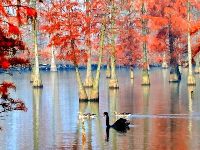 安徽直隸滁州来安县 进士 章法護
转至； 沂水赵氏； 