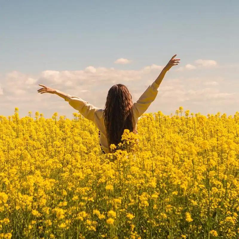 说真的，刚玩头条那会儿，我特高冷！

文章一发，关掉APP，该干嘛干嘛。评论区小