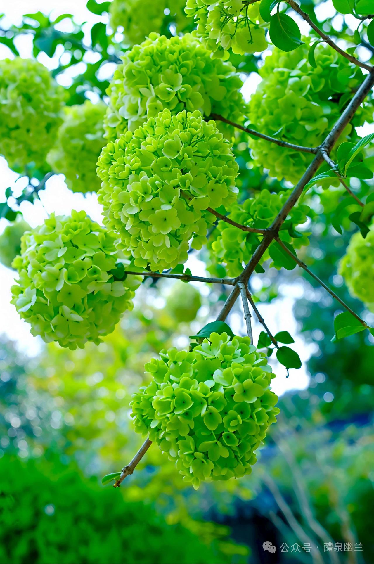 天蝎座在他不说话的时候才最可怕
平时的天蝎温柔又体贴
他们总想照顾好身边每个人的