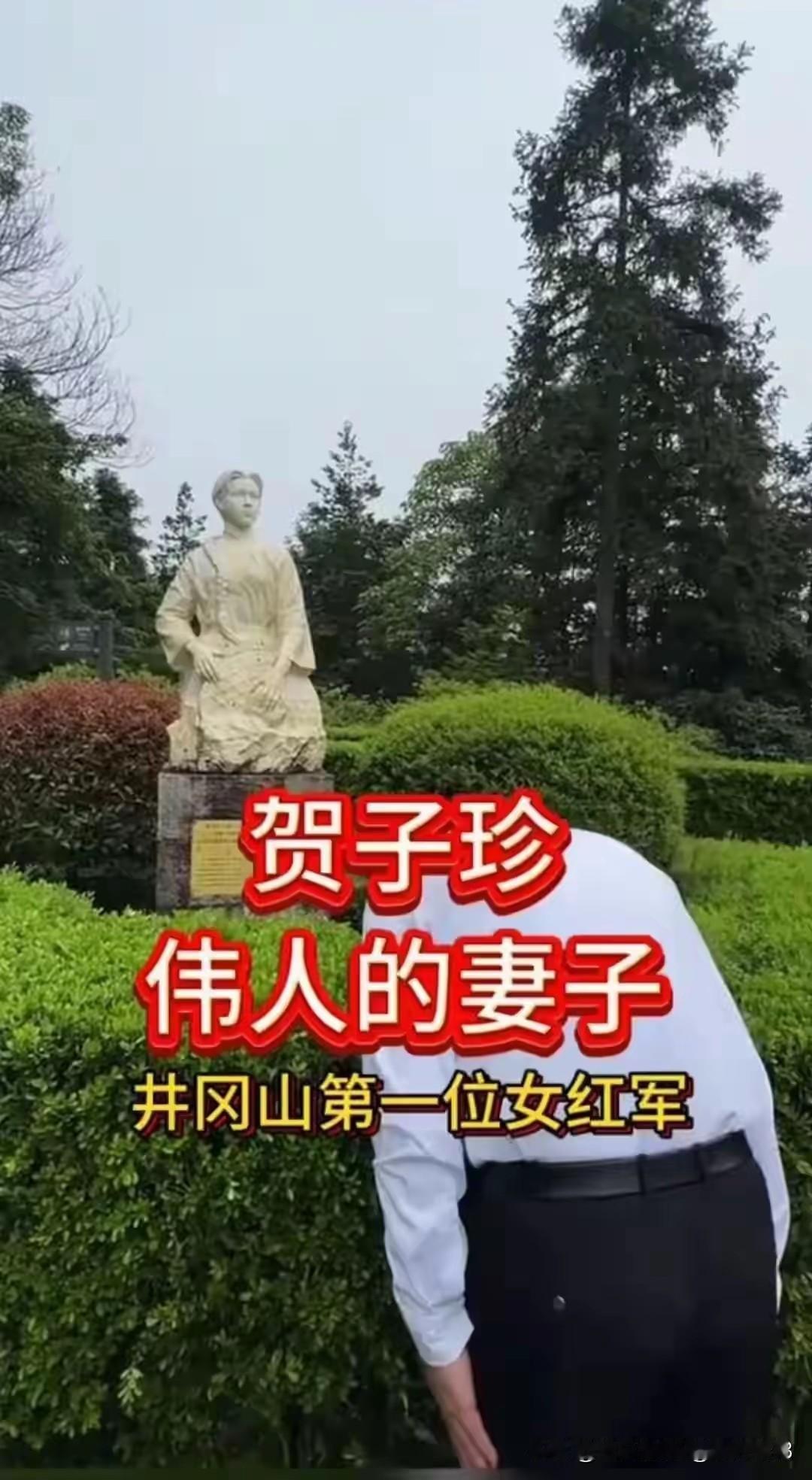 深情缅怀毛主席夫人，井冈山第一位女红军贺子珍先辈！