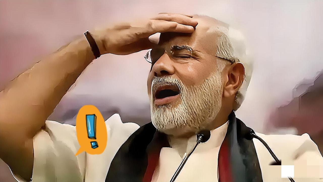 印度这回下血本了！

2026年4月22日外媒透了底，印度钾肥公司砸了将近24亿