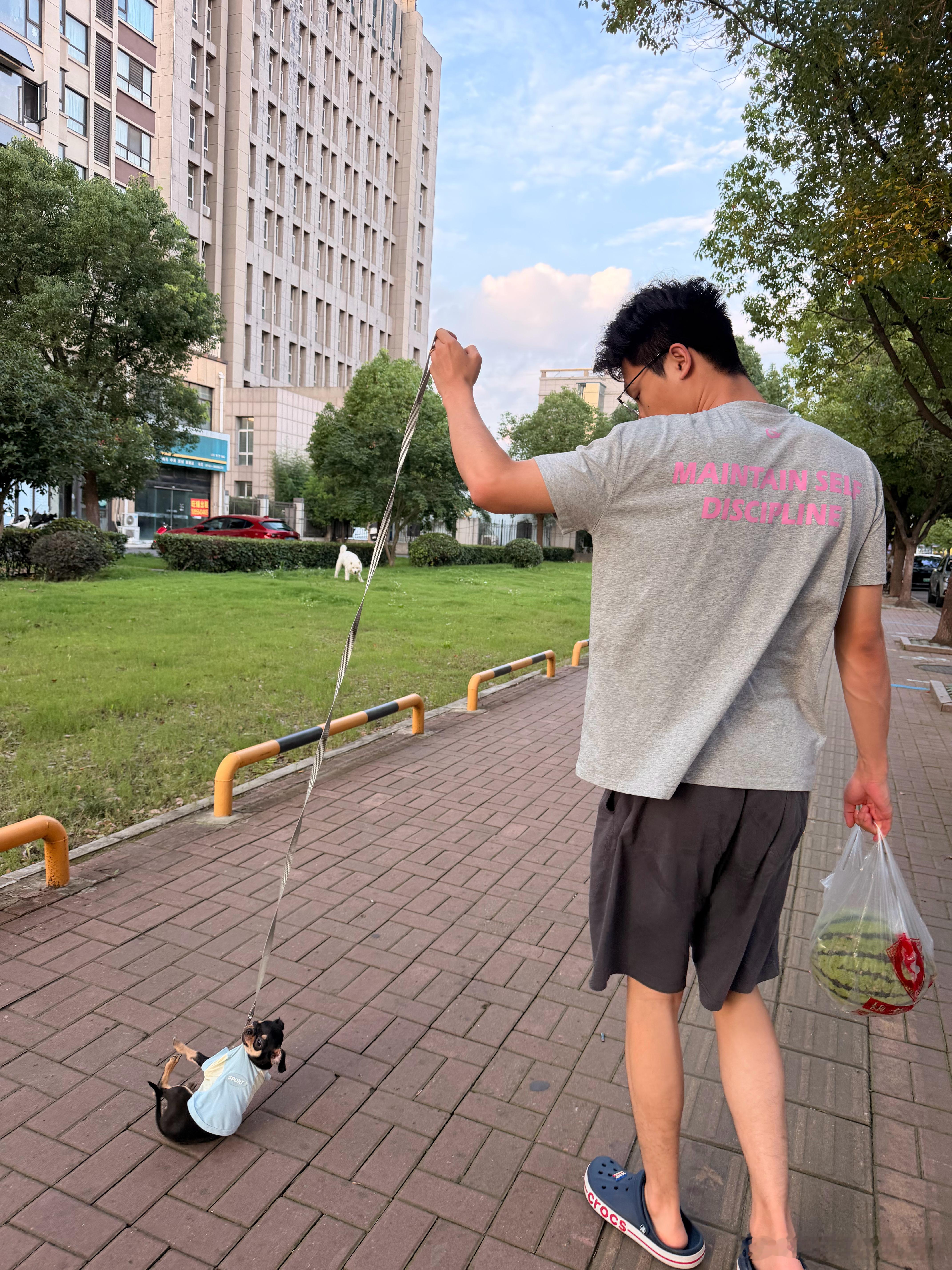 睡醒了买个西瓜吃
