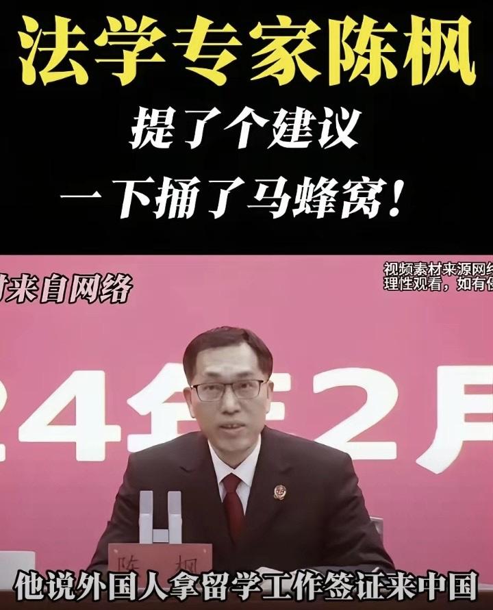 法学专家陈枫一项入境管控新规的提议，直接戳中了国门安全的痛点。

他建议所有持留