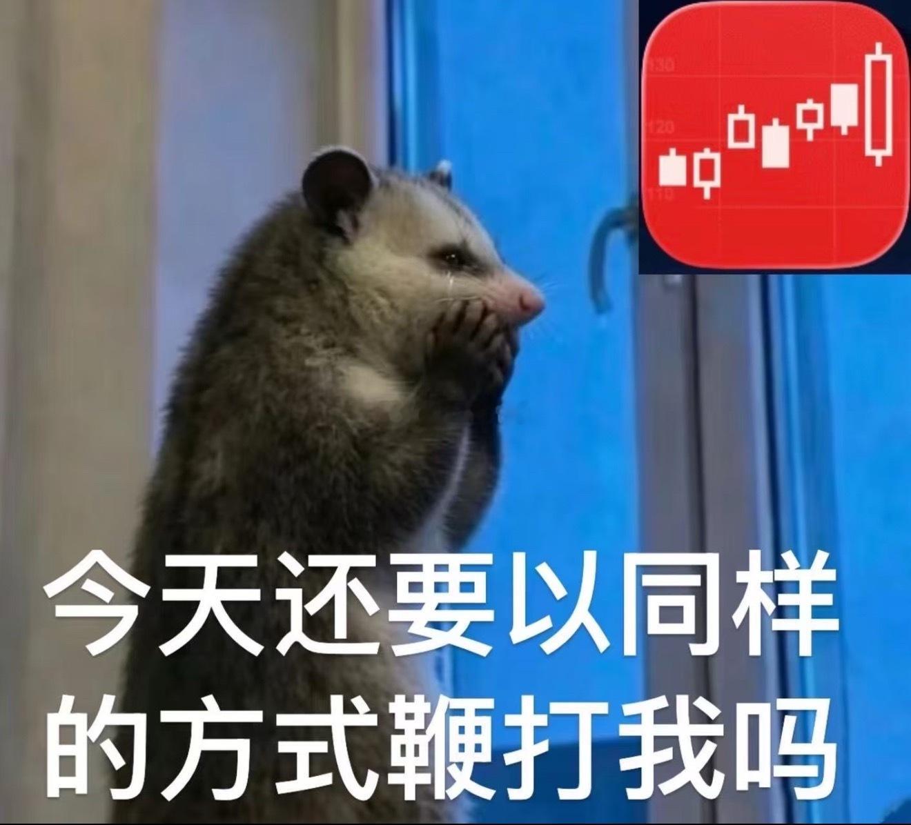一会后悔没有割肉，一会后悔没有抄底~~一会后悔卖得早了，一会后悔买得早了～ 