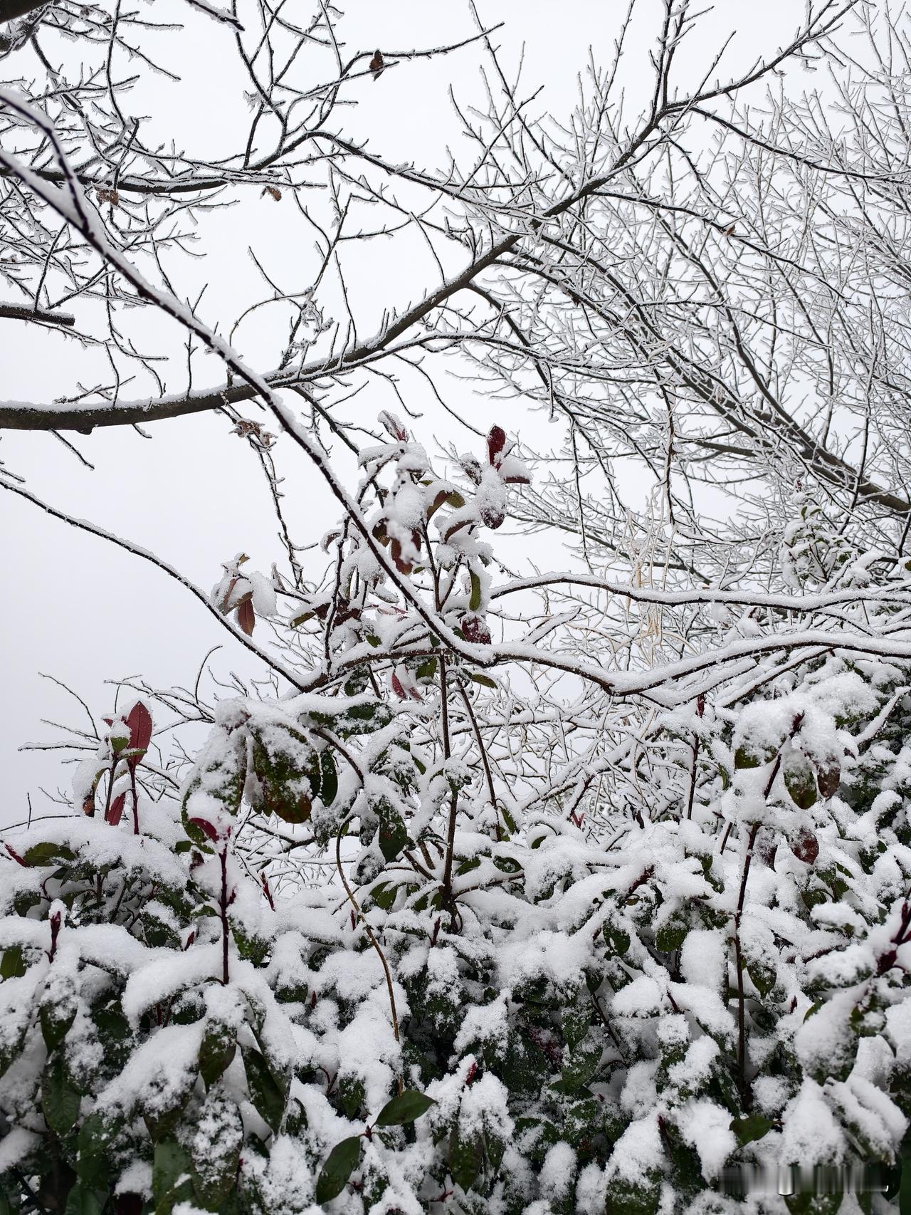 第一次听闻竟有人到店里试穿寿衣。
同事跟我讲，她外婆78岁了，能吃能喝能睡，只是