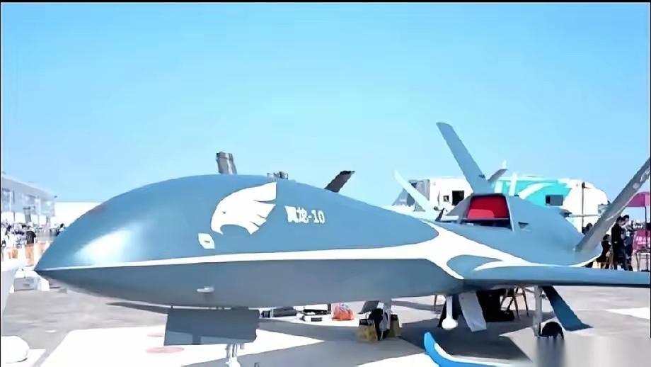 沙特这次出手，直接把中东的天给“换”了。
300架中国翼龙-10B重型无人机，被