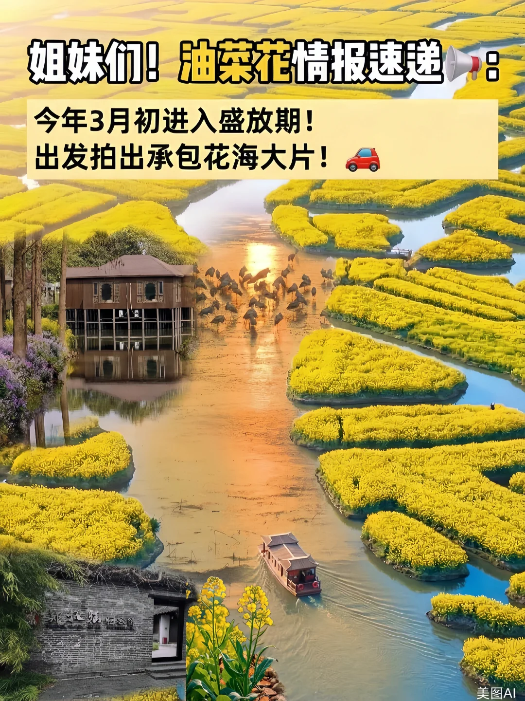 【2026年3月约一场金色兴化保姆级攻略】