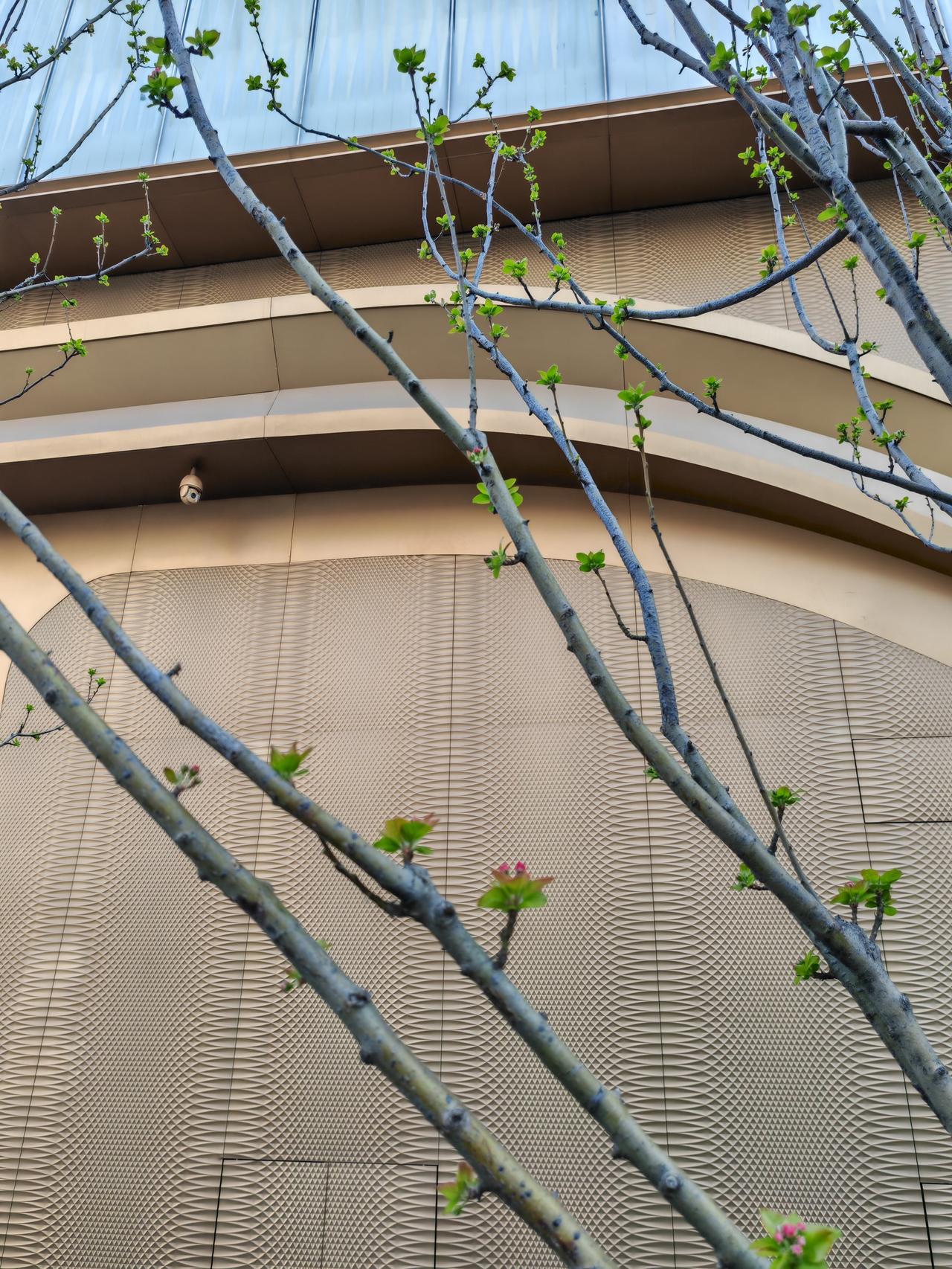 招行积存金 价格预测（仅供参考，不构成投资建议）：
 
当前基准（07:30）：