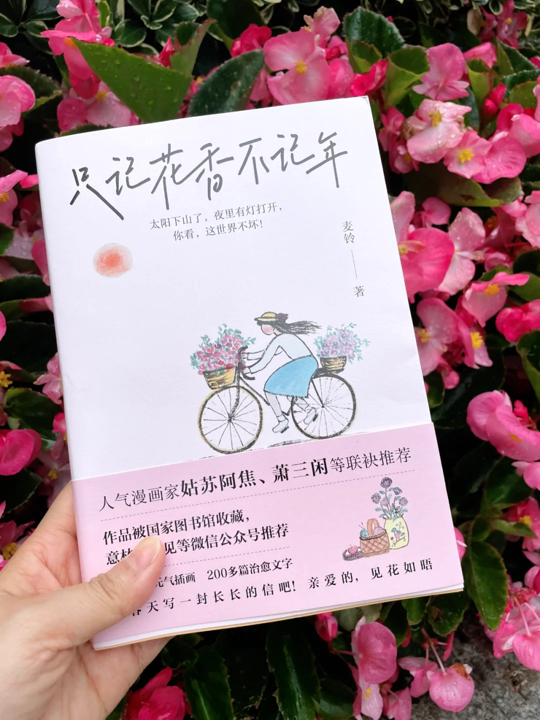 这本书太太太治愈了🍃我真的太太太爱了！！