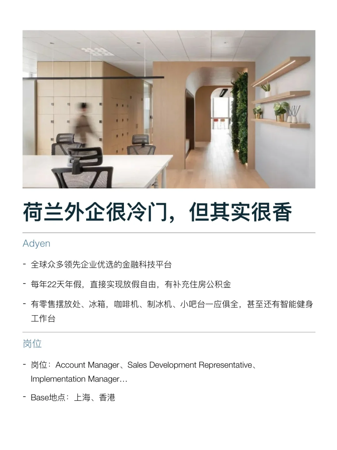 荷兰外企过于冷门了，但其实很香很好进