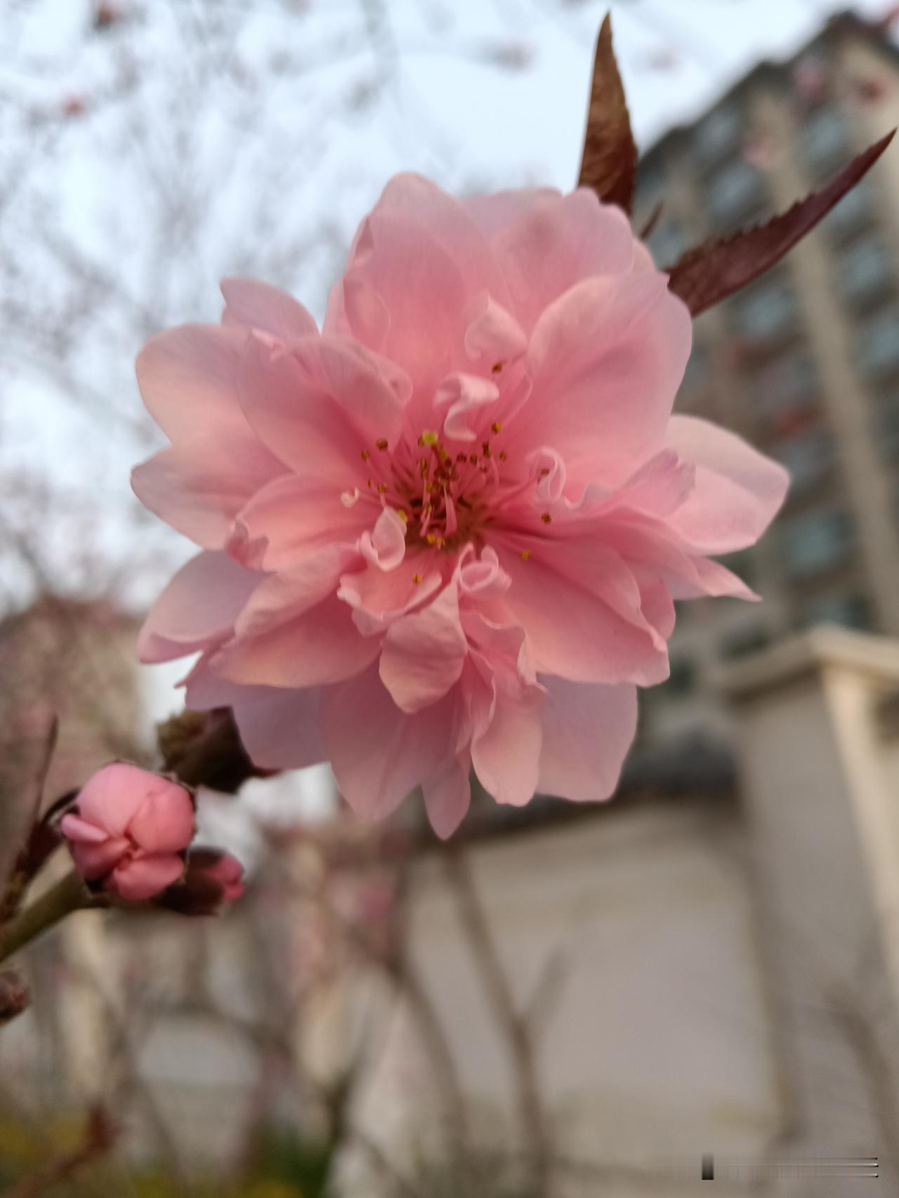 一个人好运开始的标志是：
懂得换人。
不怕狼一般的对手，就怕猪一样的队友。
烂人