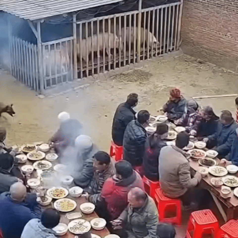 直接说钢丝球不行吗