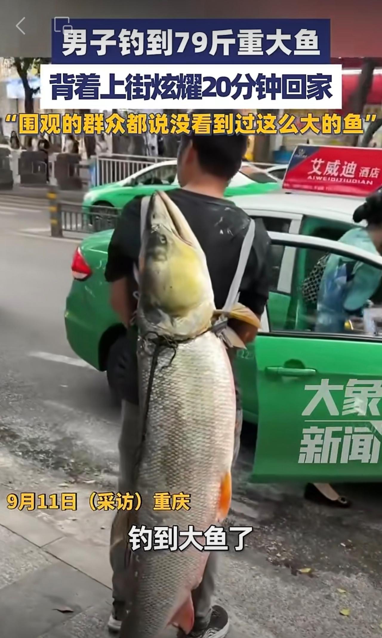 男子钓到79斤重大鱼，背着上街炫耀20分钟回家：围观的群众都说没看到过这么大的鱼