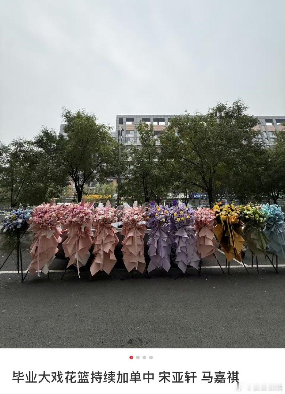 马嘉祺宋亚轩毕业大戏公式照马嘉祺宋亚轩毕业大戏花篮应援 马嘉祺宋亚轩毕业大戏花篮