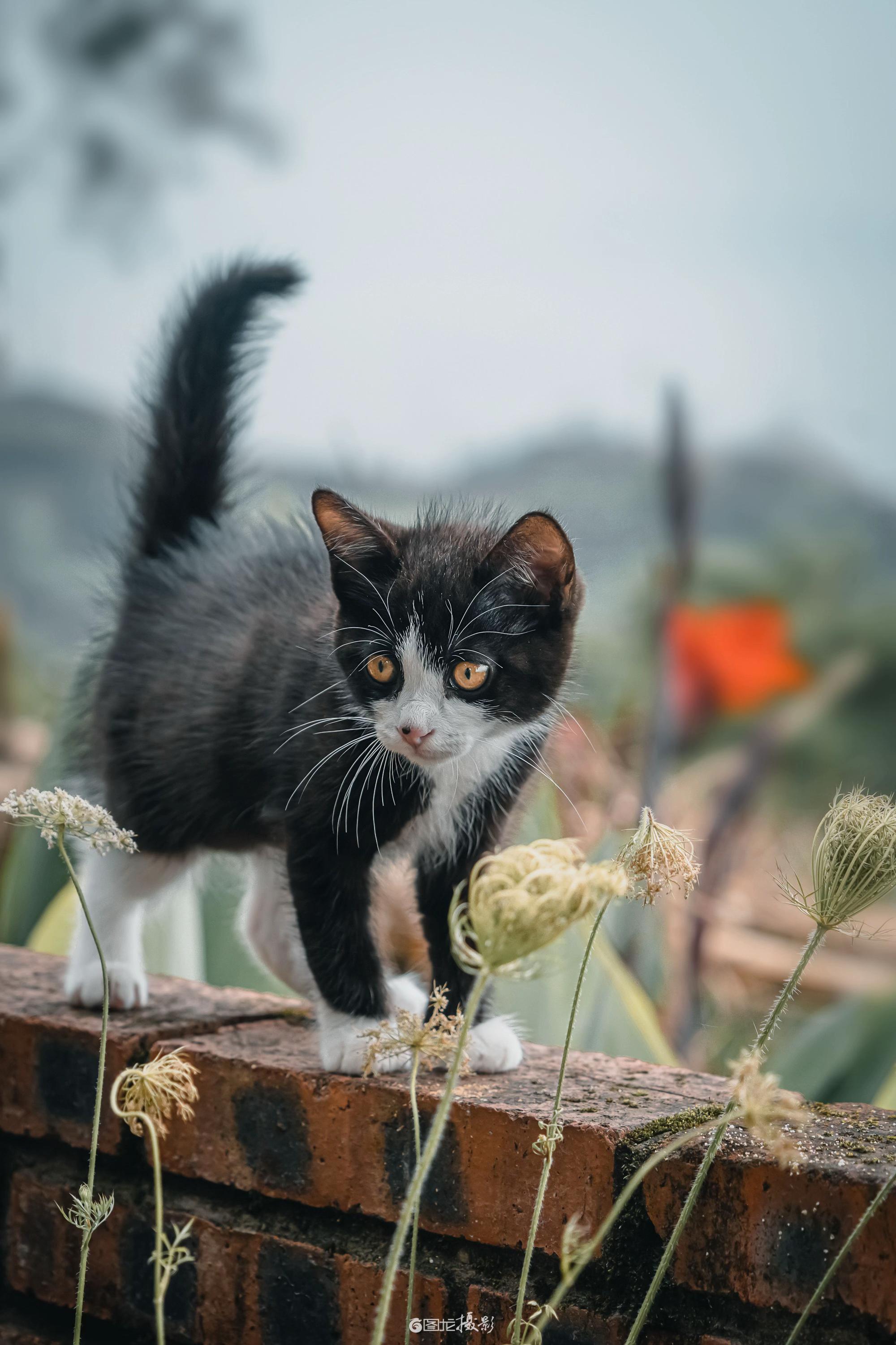 用摄影锁住时光，珍藏每刻美好。宝子们，你们有没有过那种感觉，某个瞬间特...