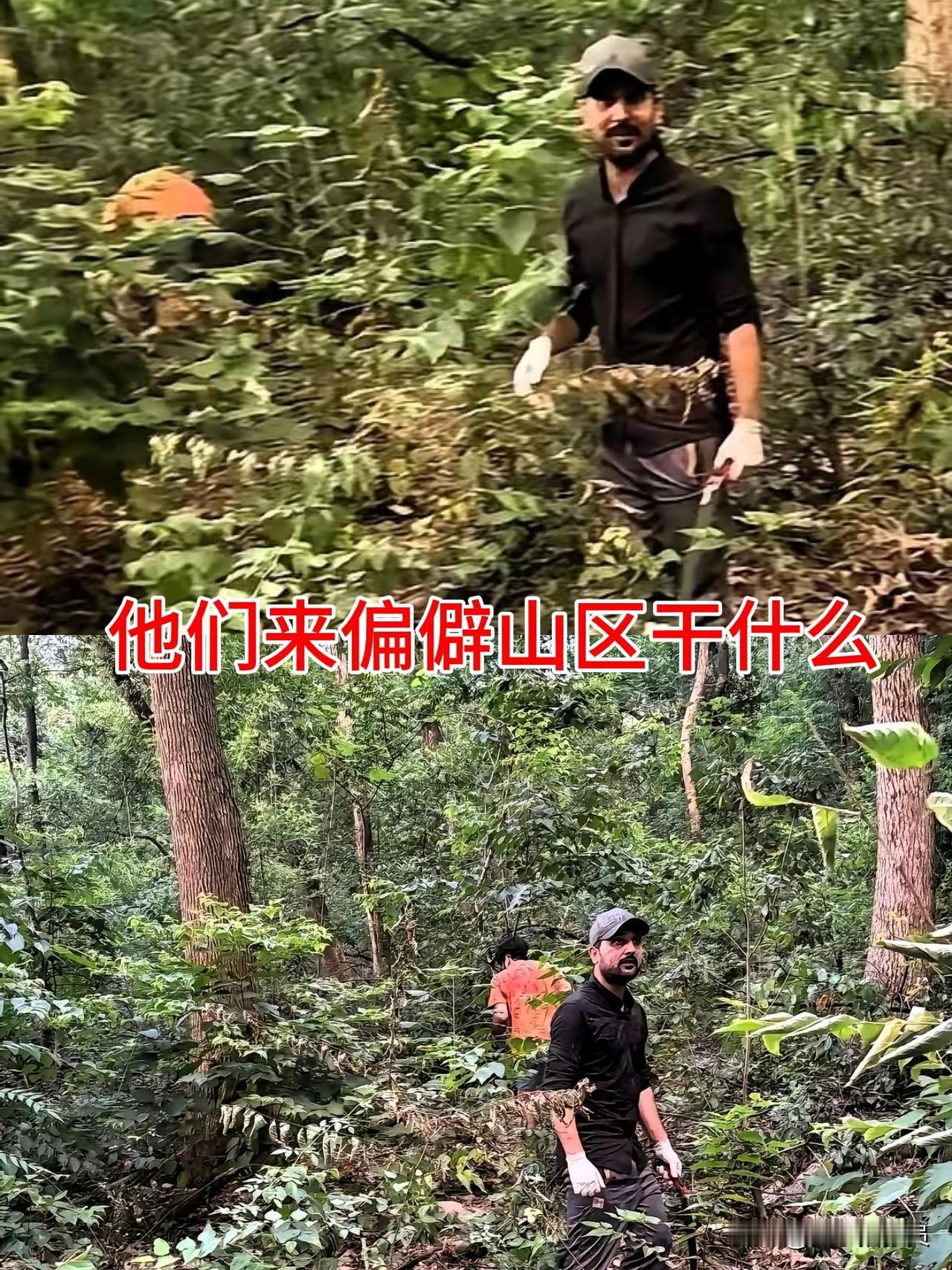 【他们来偏僻山区干什么】
你是不是经常刷到印度人跑到我国偏远山区的视频？
能自己