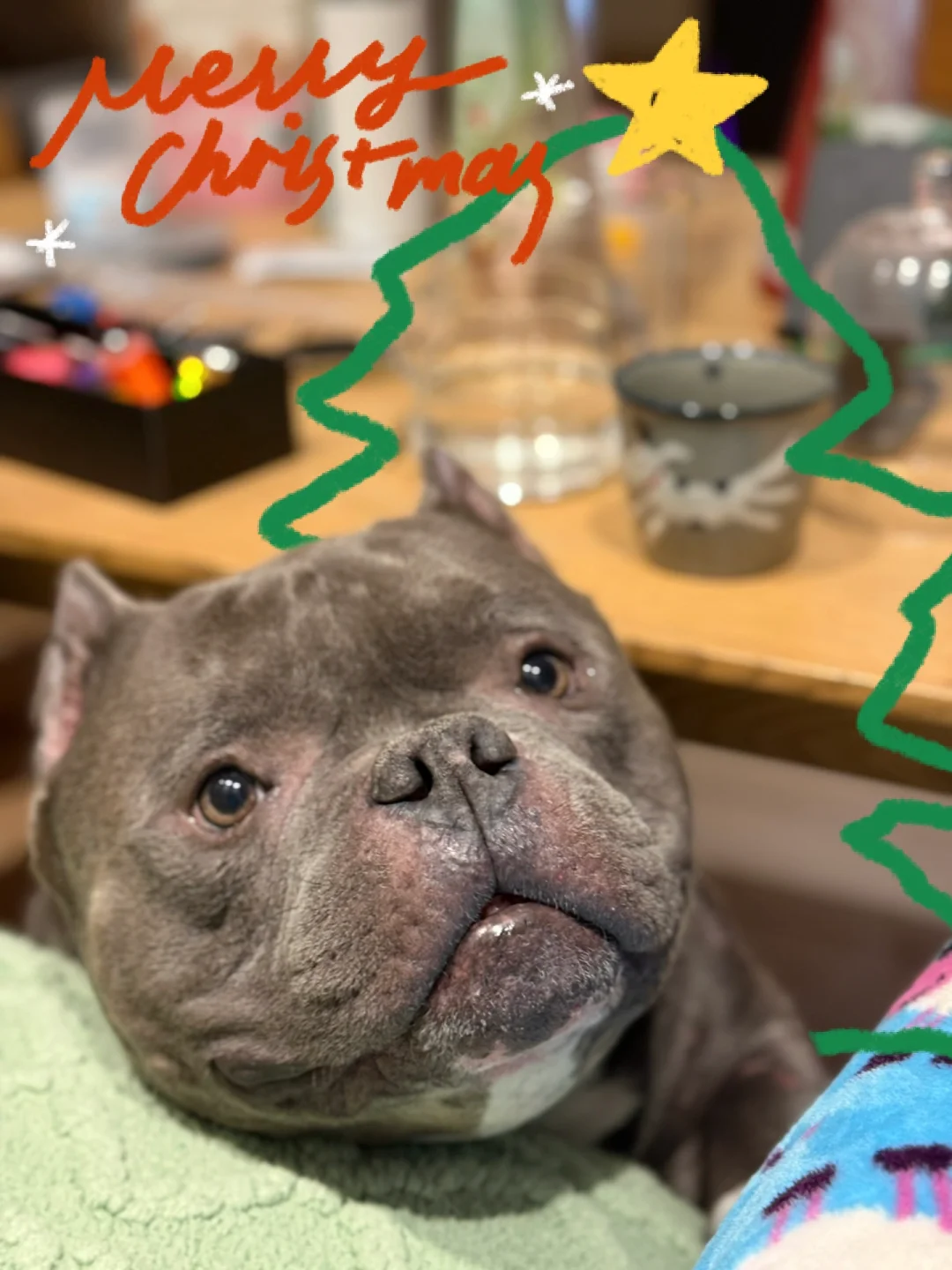 ☕️咖啡篇：🐶先进监制 甜！
