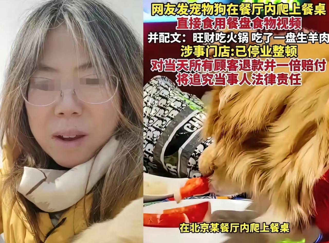 南门涮肉估计悔的肠子都青了。
不是因为没阻止狗舔盘子，
也不是1倍赔偿当日用餐的