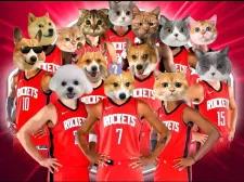 看来看去，火箭其实就是差一个哈登就能夺冠了，火箭现在的进攻真的太辣眼睛了。有哈登