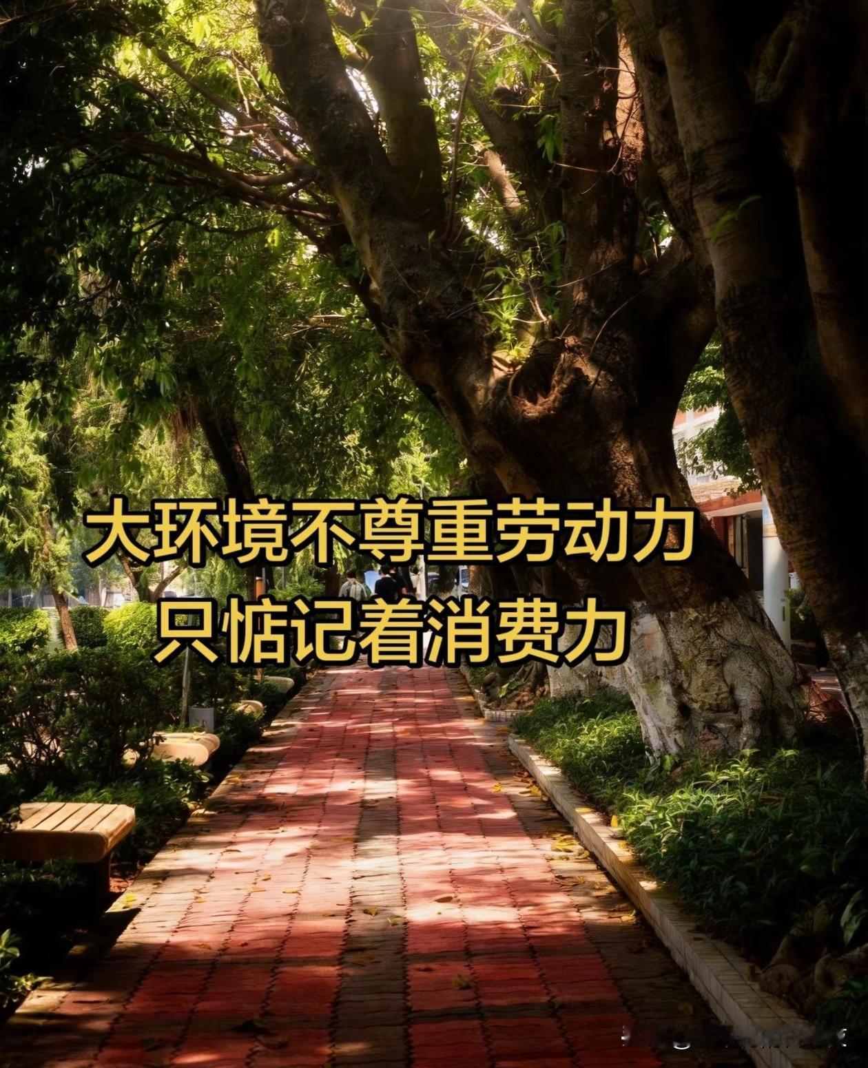 [奸笑]骗你的，消费力也不惦记。